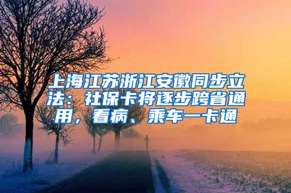 上海江苏浙江安徽同步立法：社保卡将逐步跨省通用，看病、乘车一卡通