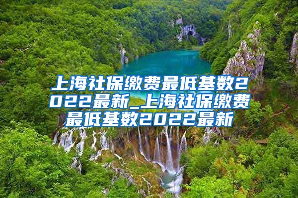 上海社保缴费最低基数2022最新_上海社保缴费最低基数2022最新