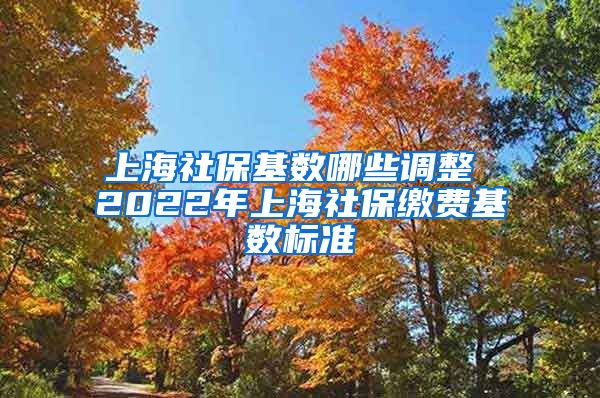 上海社保基数哪些调整 2022年上海社保缴费基数标准