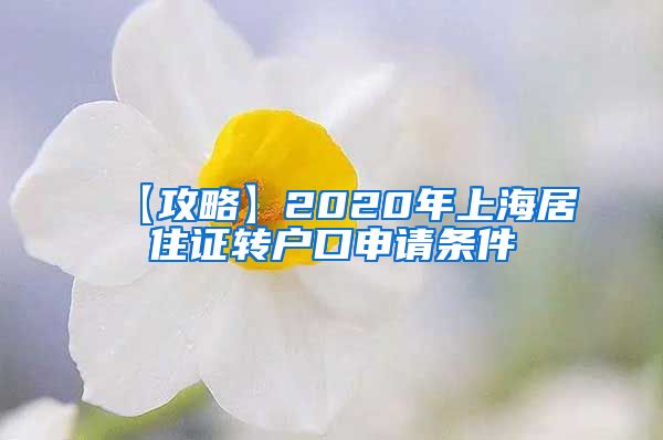 【攻略】2020年上海居住证转户口申请条件