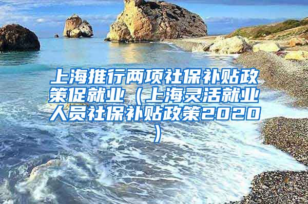 上海推行两项社保补贴政策促就业（上海灵活就业人员社保补贴政策2020）