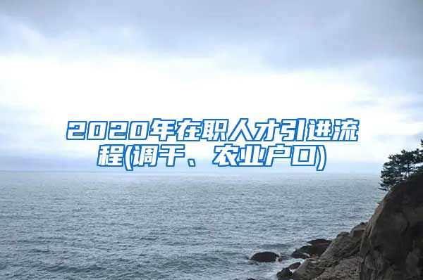 2020年在职人才引进流程(调干、农业户口)