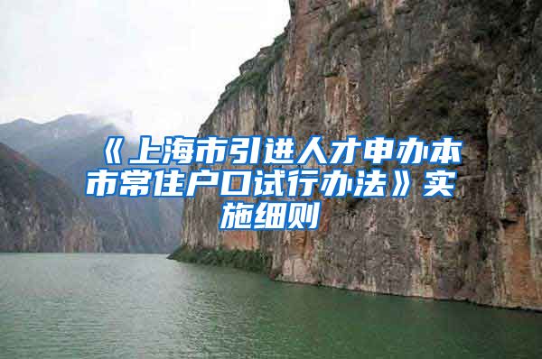 《上海市引进人才申办本市常住户口试行办法》实施细则