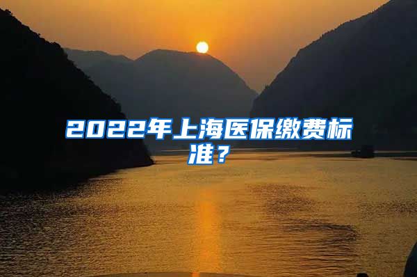 2022年上海医保缴费标准？