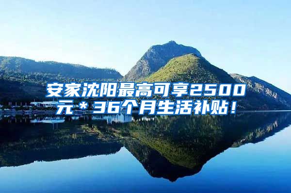 安家沈阳最高可享2500元＊36个月生活补贴！