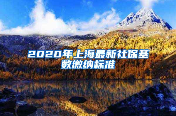 2020年上海最新社保基数缴纳标准
