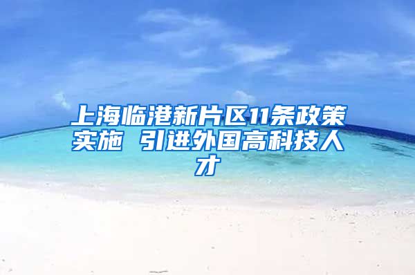 上海临港新片区11条政策实施 引进外国高科技人才