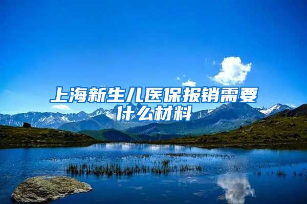 上海新生儿医保报销需要什么材料