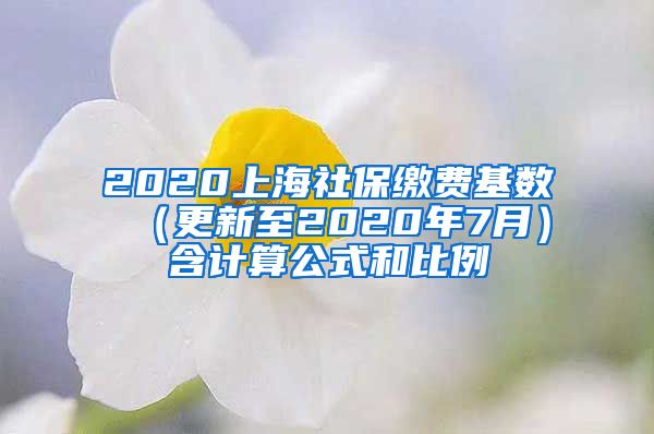 2020上海社保缴费基数 （更新至2020年7月）含计算公式和比例