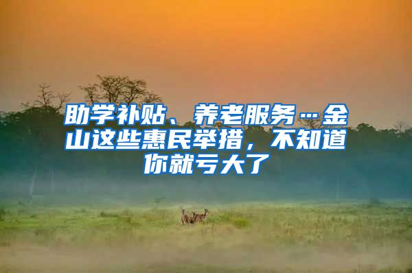 助学补贴、养老服务…金山这些惠民举措，不知道你就亏大了