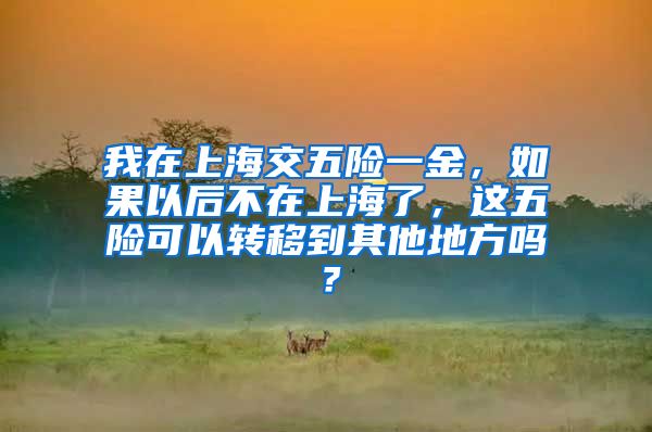 我在上海交五险一金，如果以后不在上海了，这五险可以转移到其他地方吗？