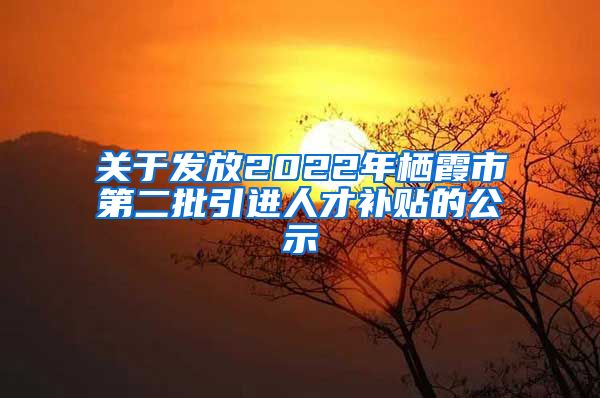 关于发放2022年栖霞市第二批引进人才补贴的公示