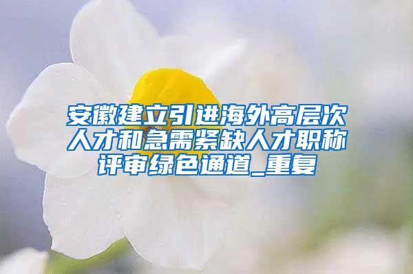 安徽建立引进海外高层次人才和急需紧缺人才职称评审绿色通道_重复