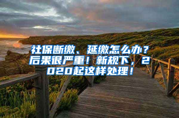 社保断缴、延缴怎么办？后果很严重！新规下，2020起这样处理！