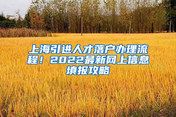 上海引进人才落户办理流程！2022最新网上信息填报攻略