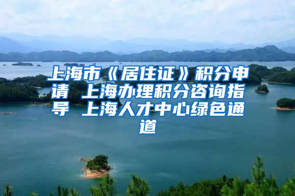 上海市《居住证》积分申请 上海办理积分咨询指导 上海人才中心绿色通道