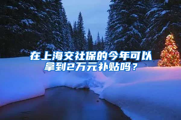 在上海交社保的今年可以拿到2万元补贴吗？