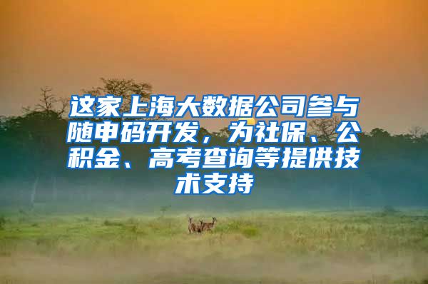 这家上海大数据公司参与随申码开发，为社保、公积金、高考查询等提供技术支持