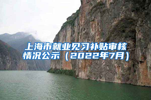 上海市就业见习补贴审核情况公示（2022年7月）