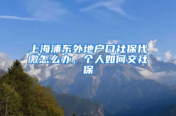 上海浦东外地户口社保代缴怎么办，个人如何交社保