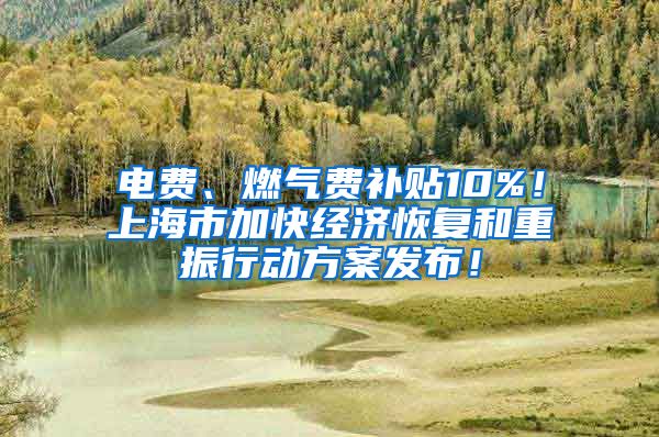 电费、燃气费补贴10%！上海市加快经济恢复和重振行动方案发布！