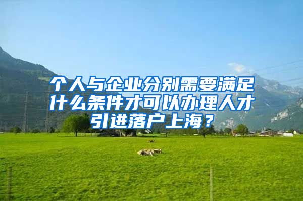 个人与企业分别需要满足什么条件才可以办理人才引进落户上海？