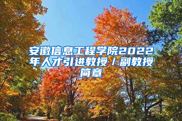 安徽信息工程学院2022年人才引进教授／副教授简章