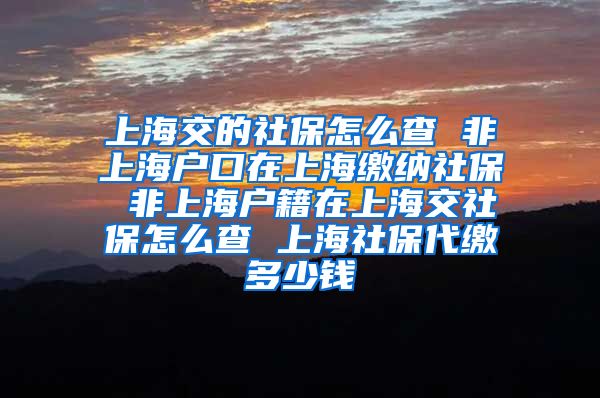 上海交的社保怎么查 非上海户口在上海缴纳社保 非上海户籍在上海交社保怎么查 上海社保代缴多少钱