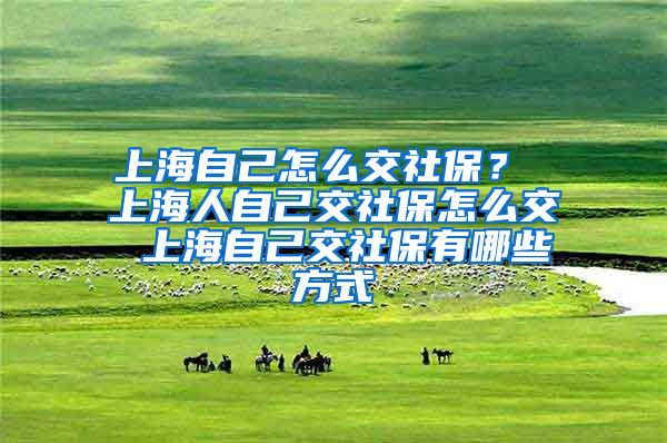 上海自己怎么交社保？ 上海人自己交社保怎么交 上海自己交社保有哪些方式