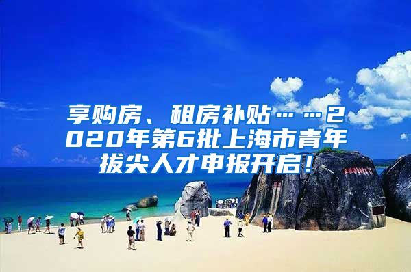 享购房、租房补贴……2020年第6批上海市青年拔尖人才申报开启！