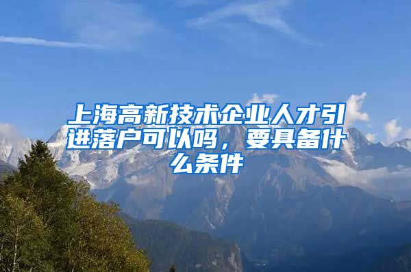 上海高新技术企业人才引进落户可以吗，要具备什么条件