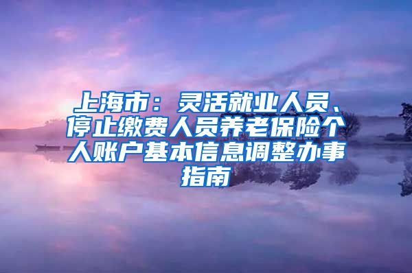 上海市：灵活就业人员、停止缴费人员养老保险个人账户基本信息调整办事指南