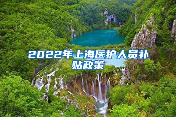 2022年上海医护人员补贴政策