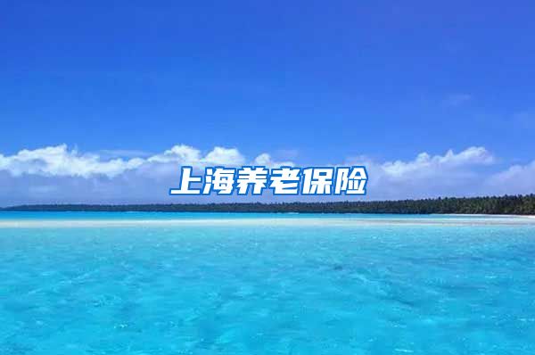 上海养老保险