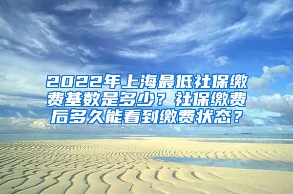 2022年上海最低社保缴费基数是多少？社保缴费后多久能看到缴费状态？