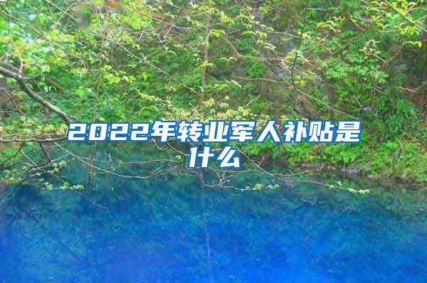 2022年转业军人补贴是什么