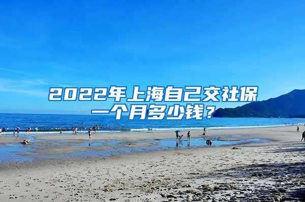 2022年上海自己交社保一个月多少钱？