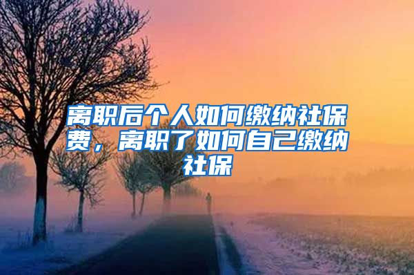 离职后个人如何缴纳社保费，离职了如何自己缴纳社保