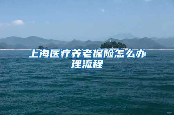 上海医疗养老保险怎么办理流程