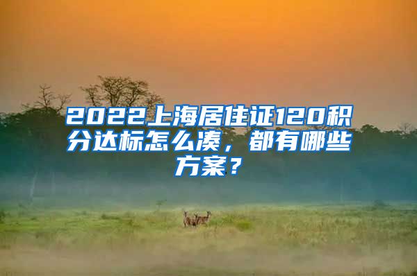 2022上海居住证120积分达标怎么凑，都有哪些方案？