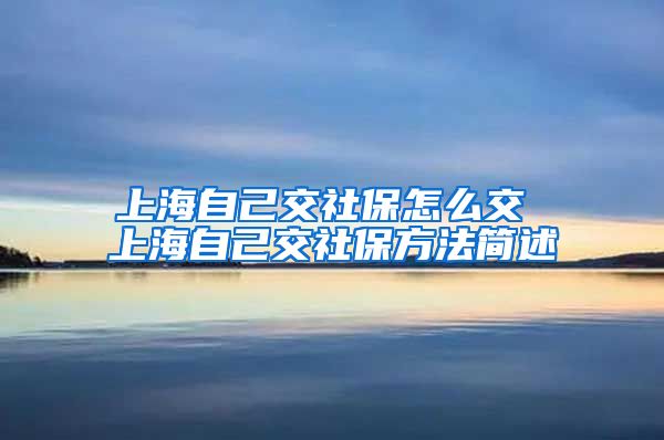 上海自己交社保怎么交 上海自己交社保方法简述