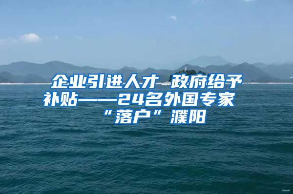 企业引进人才 政府给予补贴——24名外国专家“落户”濮阳