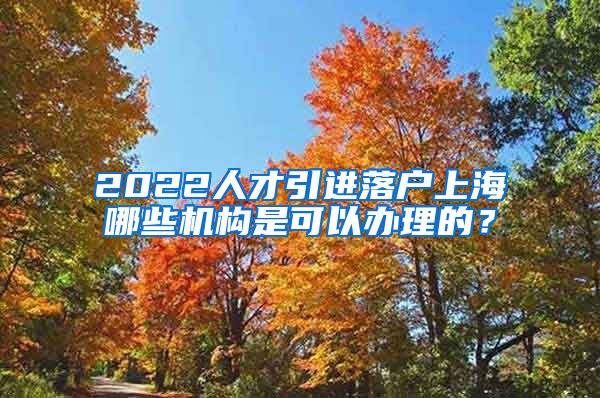 2022人才引进落户上海哪些机构是可以办理的？