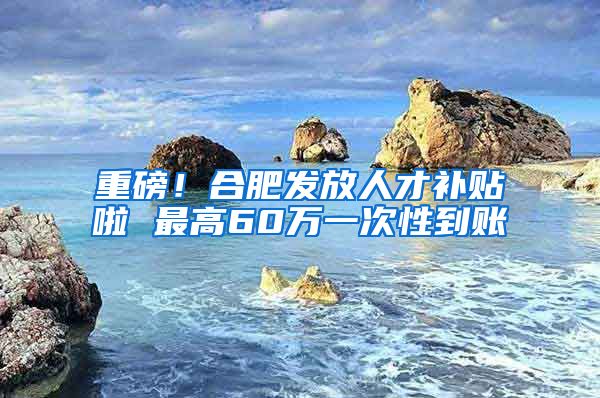 重磅！合肥发放人才补贴啦 最高60万一次性到账