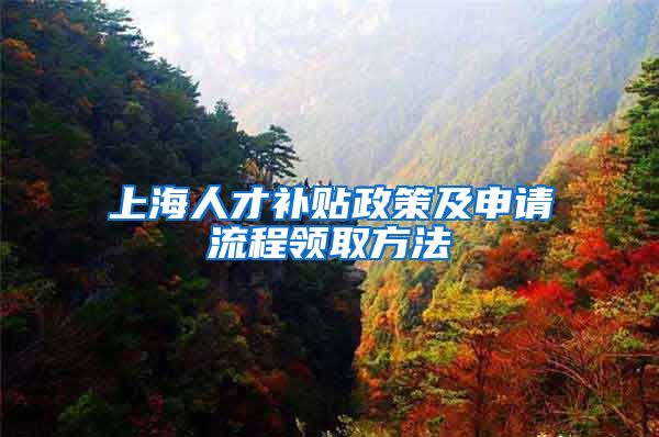 上海人才补贴政策及申请流程领取方法
