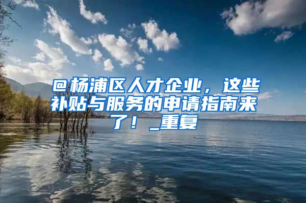 ＠杨浦区人才企业，这些补贴与服务的申请指南来了！_重复