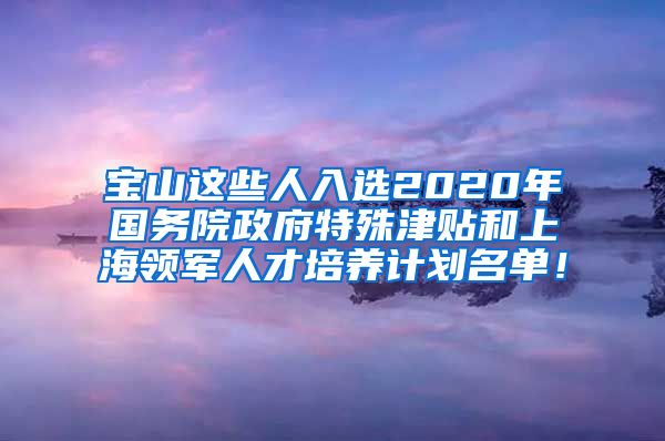 宝山这些人入选2020年国务院政府特殊津贴和上海领军人才培养计划名单！