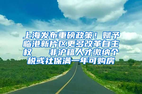 上海发布重磅政策！赋予临港新片区更多改革自主权   非沪籍人才缴纳个税或社保满一年可购房