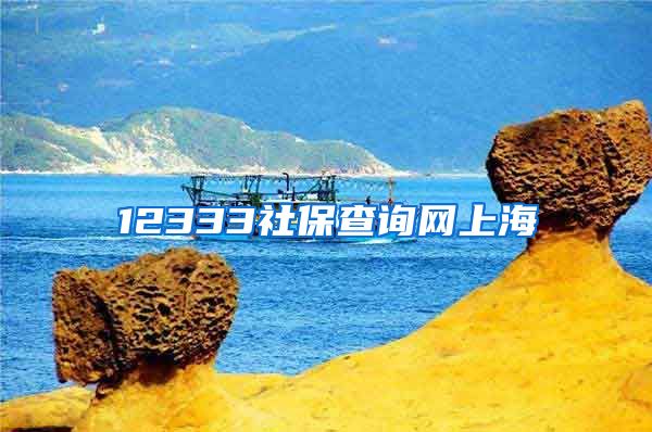 12333社保查询网上海