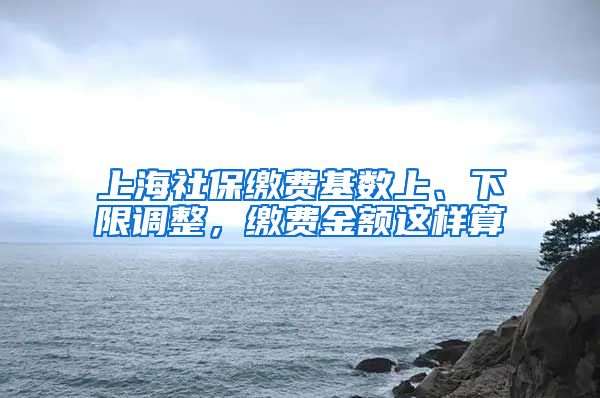 上海社保缴费基数上、下限调整，缴费金额这样算→